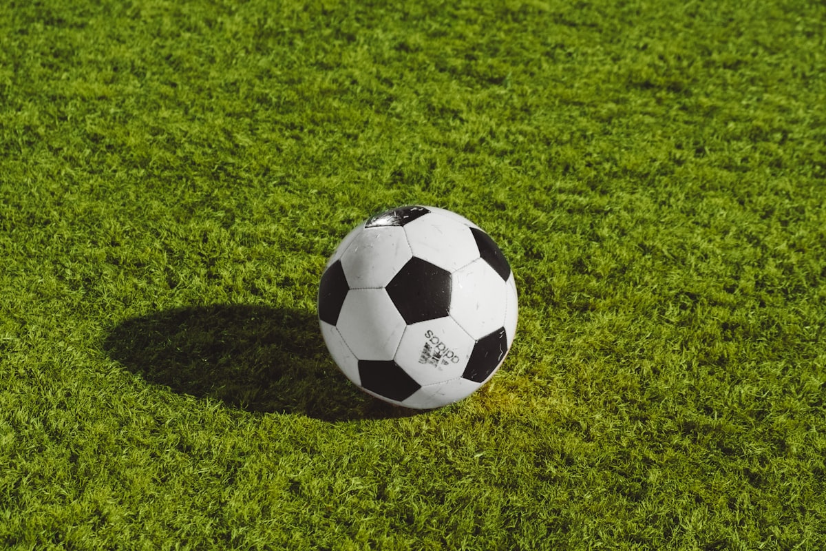 Football resting on a grass pitch, close up